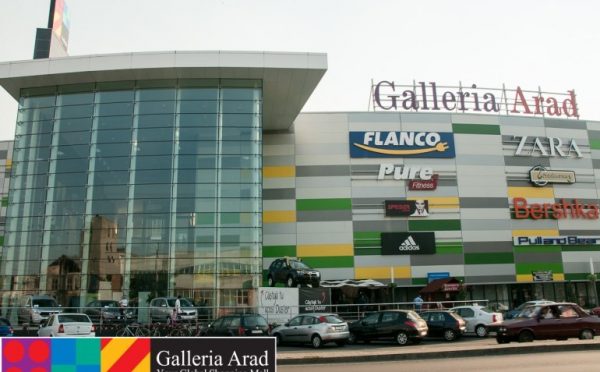 Danya cebus - Galleria Mall – Romania - Image 11