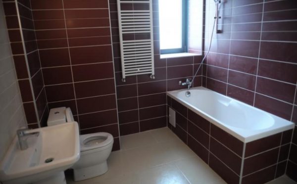 Danya cebus - Evocasa Selecta – Romania - Image 3