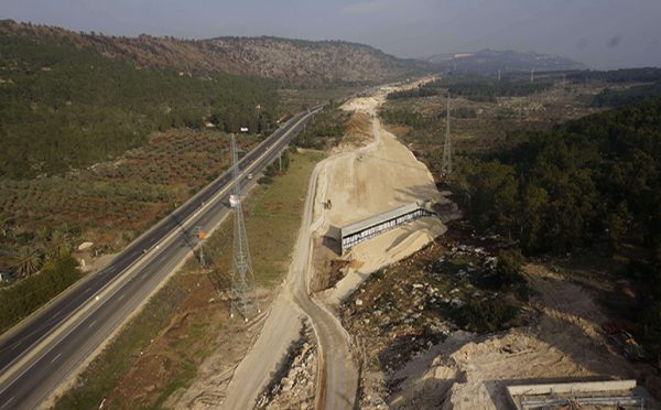 Danya cebus - Akko – Carmiel Railway – Section 2 - Image 3