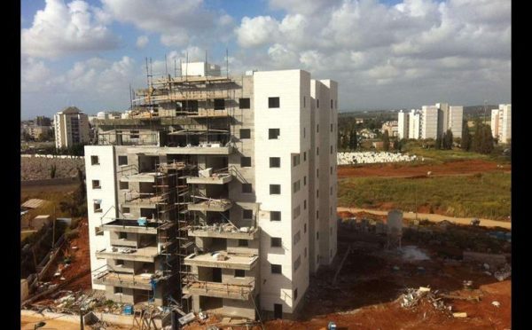 Danya cebus - Halomot Hadera phase 1 - Image 3