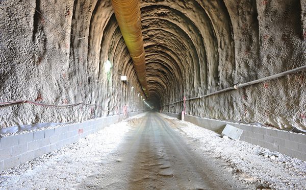 Danya cebus - Gilon Tunnel - Image 4
