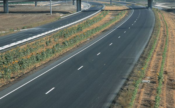 Danya cebus - Trans Israel Highway (Highway 6) - Image 4