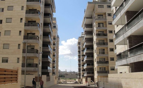 Danya cebus - Gindi Boulevard, Petach Tikva - Image 4