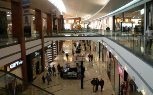 Danya cebus - Galleria Mall – Romania - Image 5