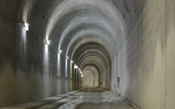 Danya cebus - Gilon Tunnel - Image 5