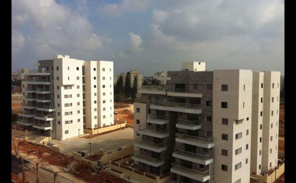 Danya cebus - Halomot Hadera phase 1 - Image 5