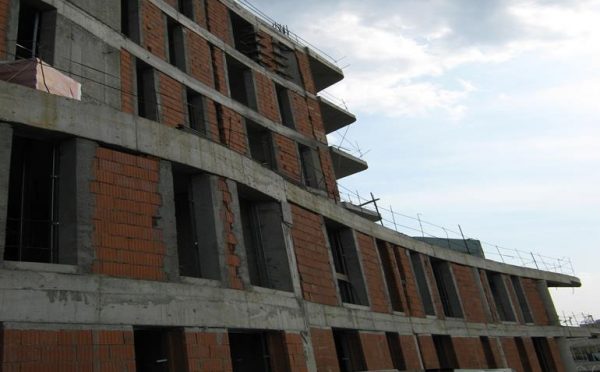 Danya cebus - Evocasa Selecta – Romania - Image 7