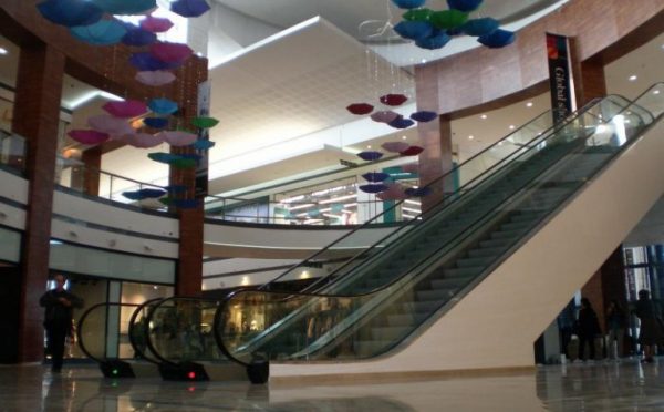 Danya cebus - Galleria Mall – Romania - Image 8