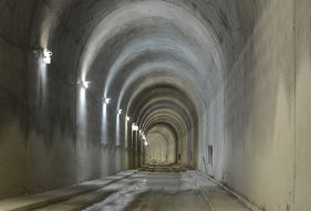 Danya cebus - Gilon Tunnel